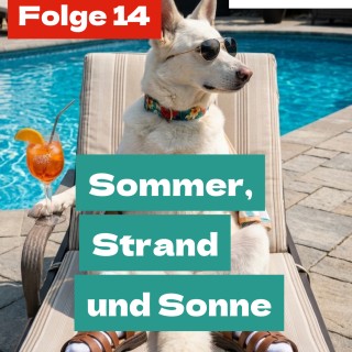 Staffel 2 Folge 14: Sommer, Strand und Sonne